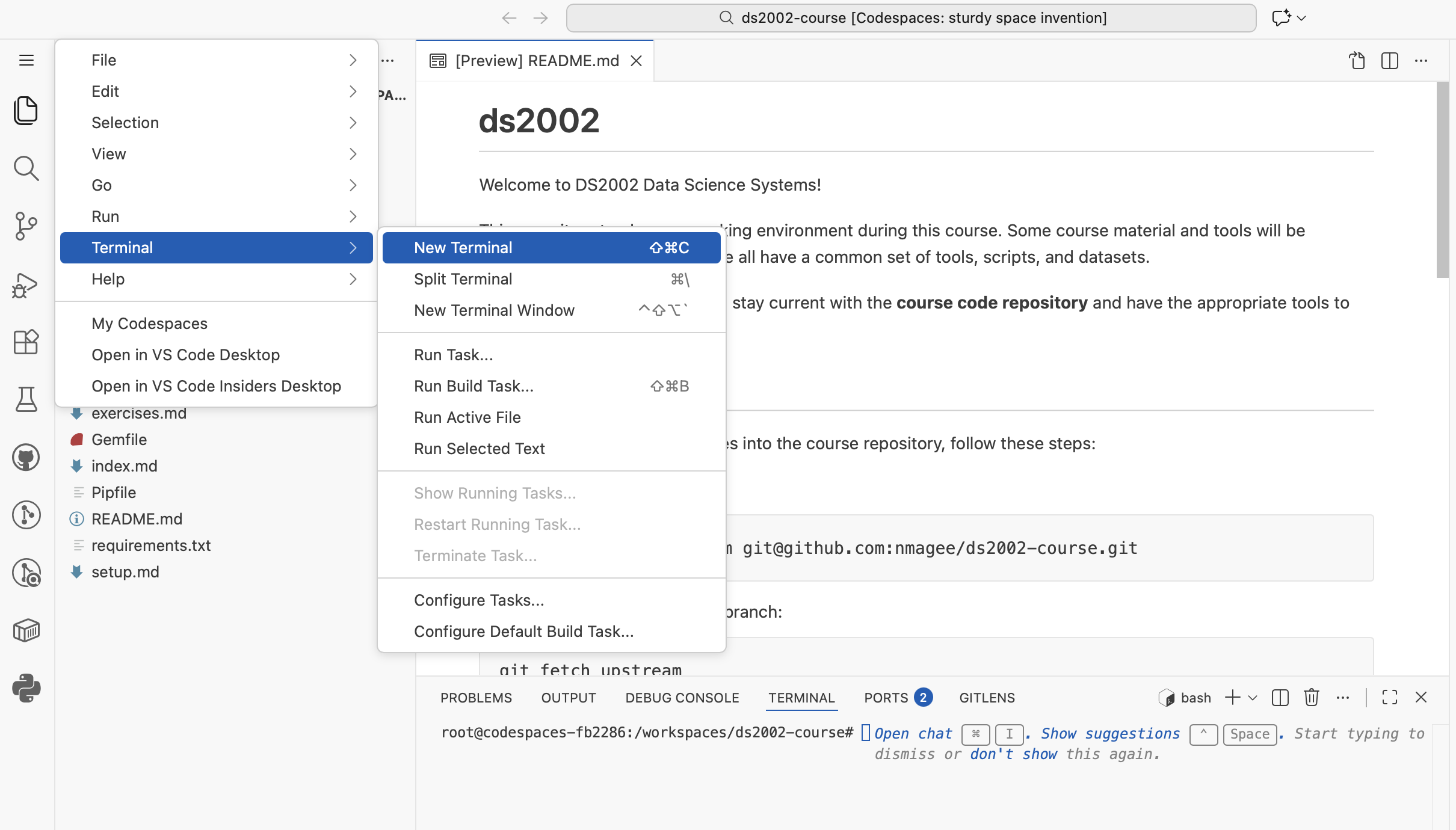 Terminal in Codespaces