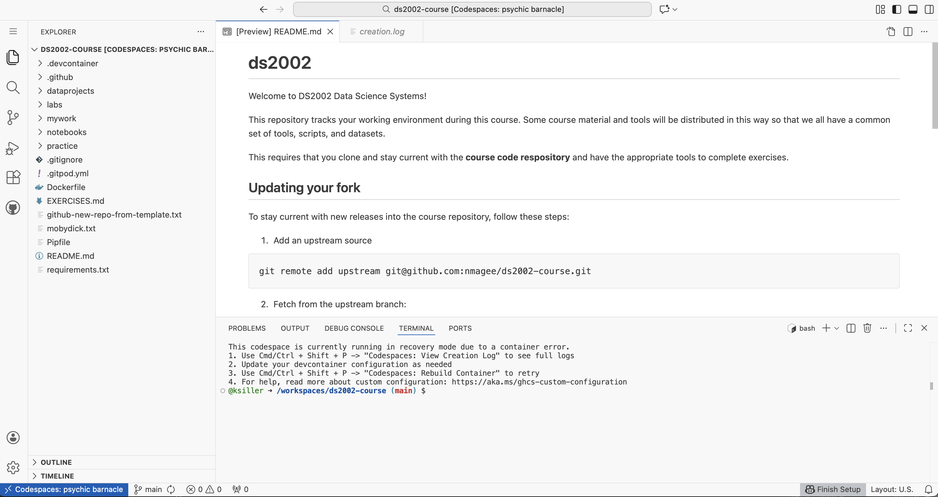 Screenshot of terminal in GitHub Codespaces